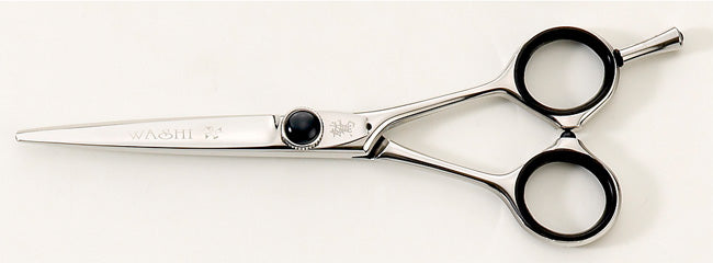 Hair Scissors : 2PP