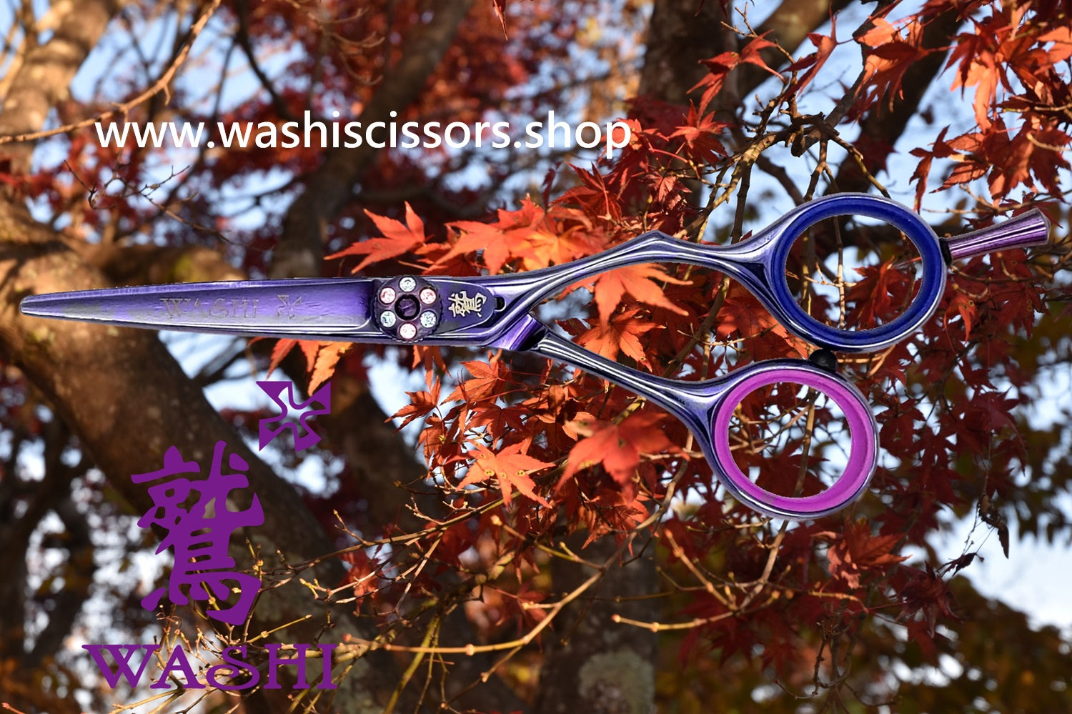 シザーズクラブ : wasiscissors.shop – WASHI SCISSORS (SLUX