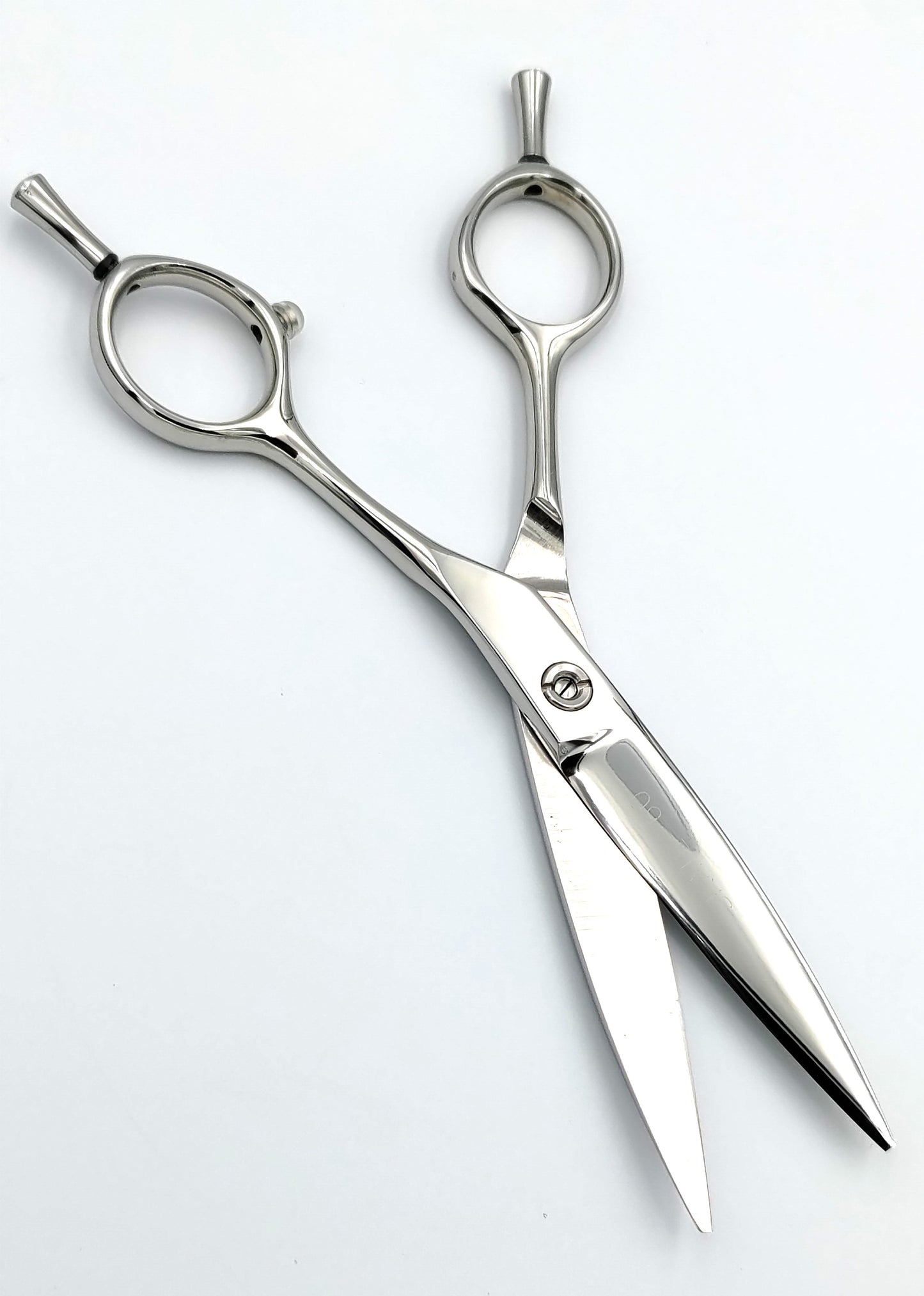 高級はさみ：スケート