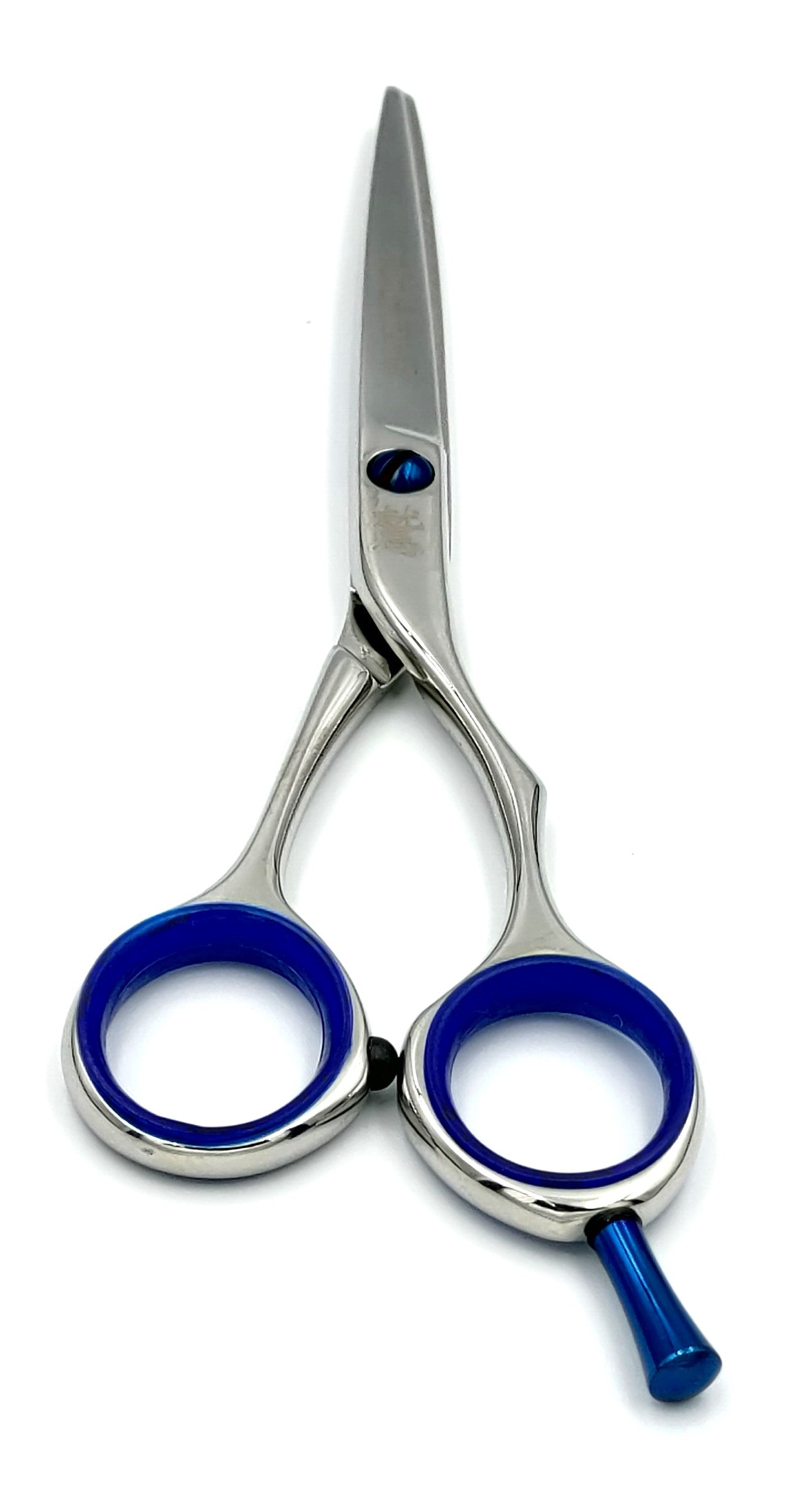 Hair Scissors : WIC